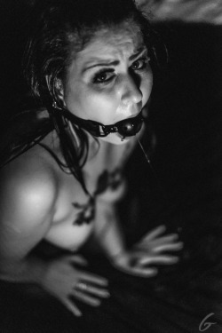 hexhypoxia:  +swallow+ photo by Glimpse in