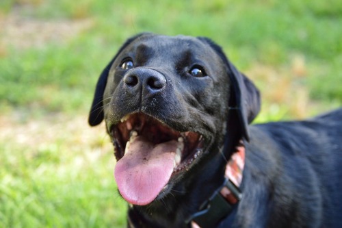 Happy girl playing ball!