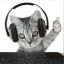 weirdcatscore1045