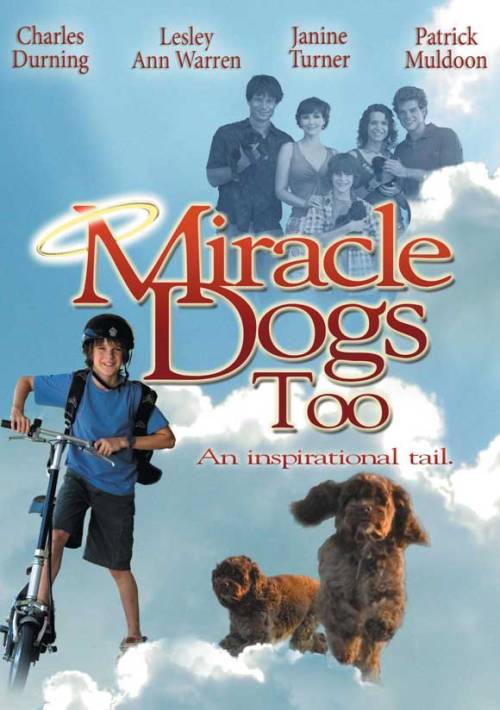 Miracle Dogs Too (2006)Zack, a young boy, finds two cocker spaniels caged in the woods and takes the