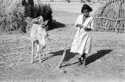 فتى في وادي حلي. - 1946م.تصوير: ولفريد ثيسجر.Boy in Wadi Hali. - 1946.A.CBy: Wilfred Thesiger