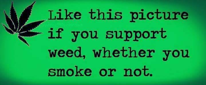 Marley G