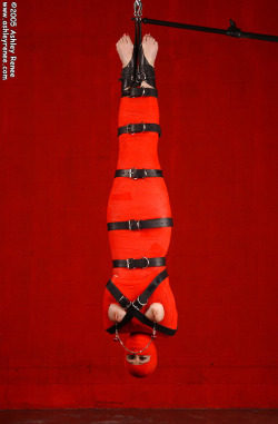 ropealltheway:  Daily BDSM HD Photos HERE