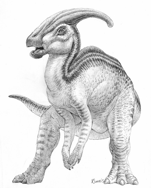 Parasaurolophus by Brett Gross. Ball-point pen on sketch paper. 11″x14″.