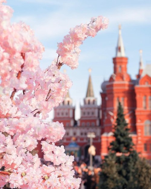 ruscatontheroof:Spring in Moscow Весна в Москве