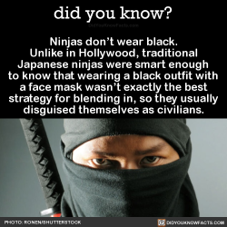 did-you-kno:  Ninjas don’t wear black. Unlike in Hollywood, traditional Japanese ninjas were smart enough to know that wearing a black outfit with a face mask wasn’t exactly the best strategy for blending in, so they usually disguised themselves as