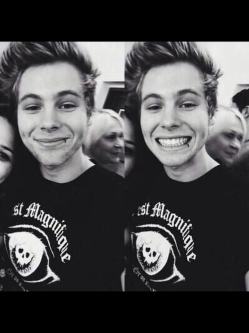 Lets Just Take A Moment To Appreciate This Little Penguin 