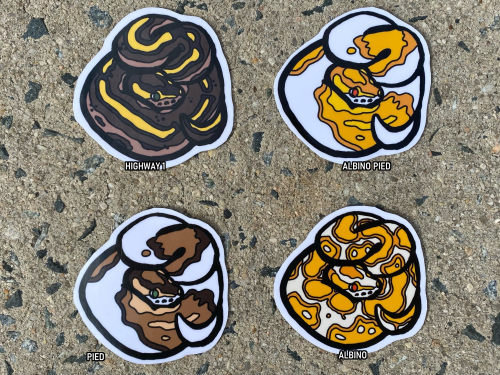 https://www.etsy.com/shop/ToadshadeTerrariumShop update! Added a ton of ball python vinyl stickers t