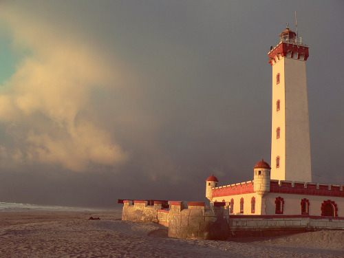 puedes-ver-las-estrellas:  lagenteignoraelpoderquetiene:  detrasdelacortina:  holasoysuperweona:  la-luz-de-tu-mirada:  Chile es HERMOSO. CHILE TE AMO<3  Si no reblogueai esta weá no erí chileno, así que rebloguea. Esta weá tiene que tener más