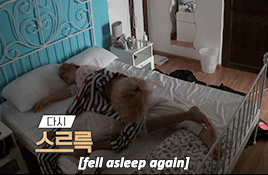 jjks:interesting sleeping habitsOnly couples that cuddle end up like this