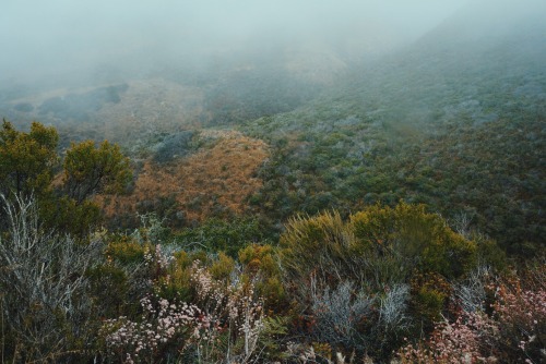 hannaoliviaway: colors of the central coast