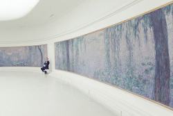  The Monet room in the Musee de L’Orangerie