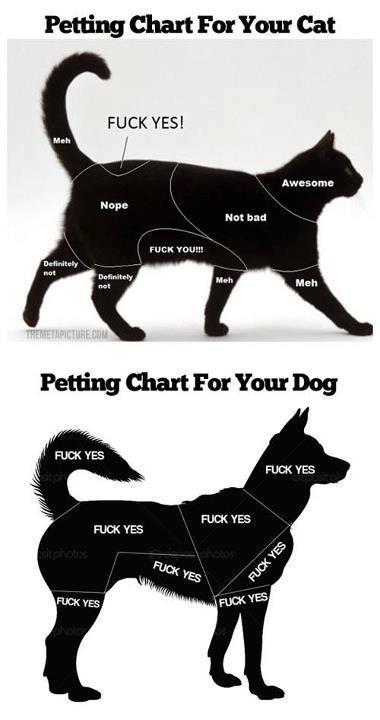 cuntsnatch:   
