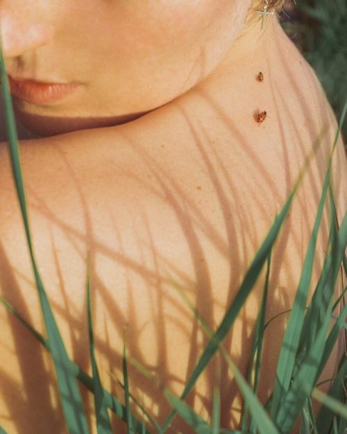 melkiresha:  Mehran Djojan 