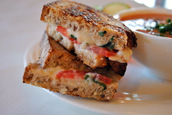 im-horngry:  Vegan Grilled Cheese - As Requested!