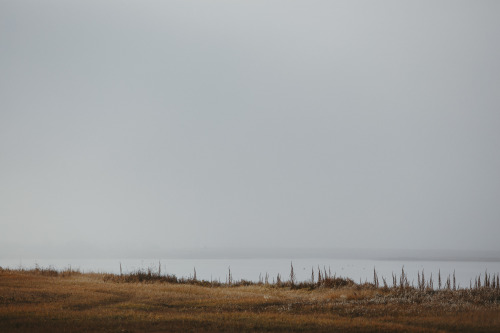 Chasing fog in Saskatchewan