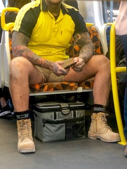 tradiespotter: gohairyblo:   Jfc crush me btw those legs    All the best bits you see on Melbournes Trams  