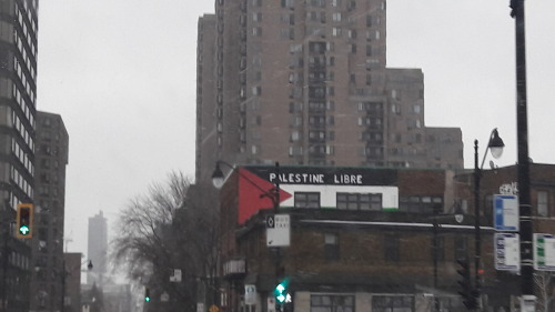 The flag of Palestine in Montreal, Quebec, Canada. It says “Free Palestine” in French