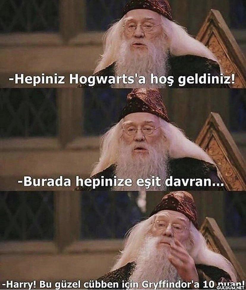 -Hepiniz Hogwarts'a hoş...