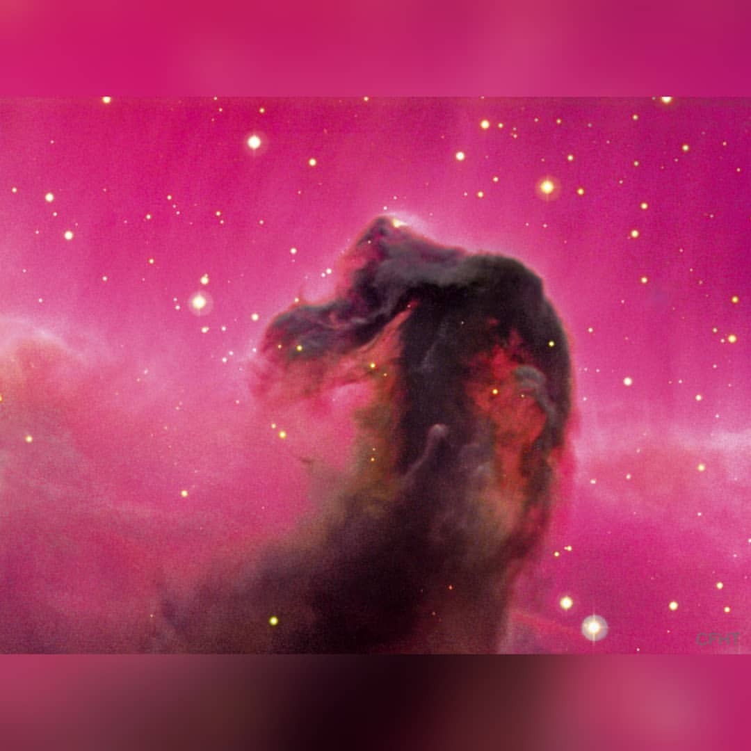 The Horsehead Nebula #nasa #apod #cfht #coelum #megacam #horseheadnebula #orion #molecularcloud