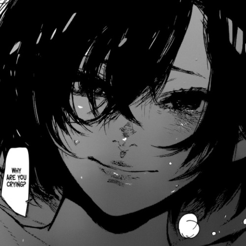 toukatan:touka through kanekis perspective