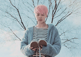 Cotton Candy