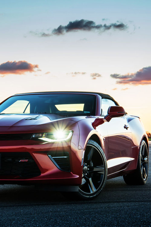 fullthrottleauto:  Decepticon (#FTA) 
