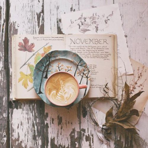 coffeeinspirations:  November is just a chill month   @empoweredinnocence 