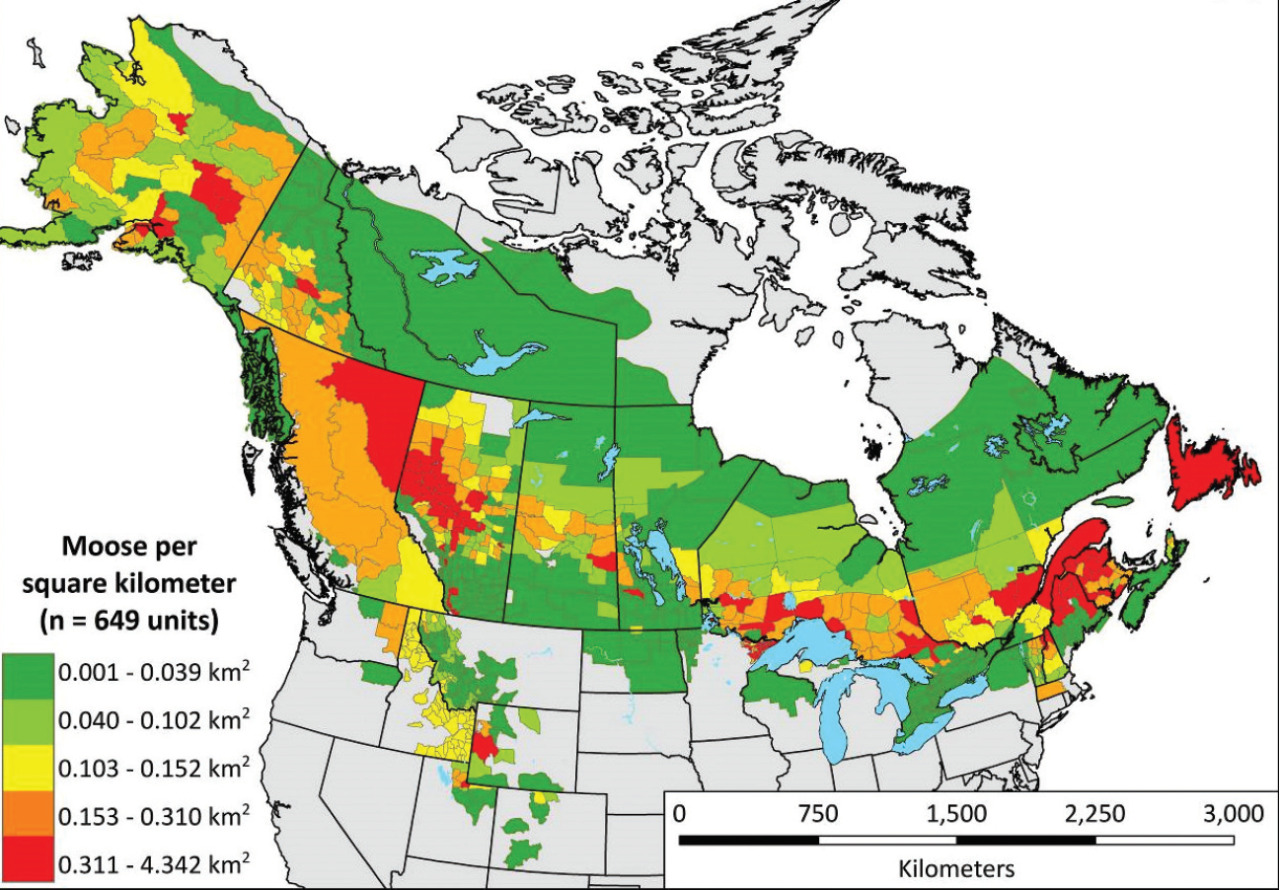 Moose density per square kilometer