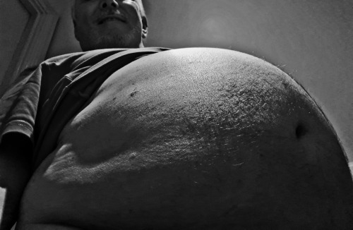 Black And White Obese Hog