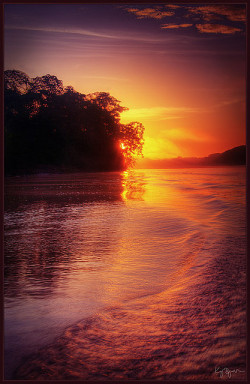 brutalgeneration:  Sunrise in Amazonas by Kaj Bjurman on Flickr. 