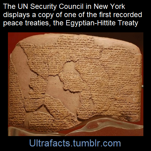 ultrafacts: Source: [x] Click HERE for more facts