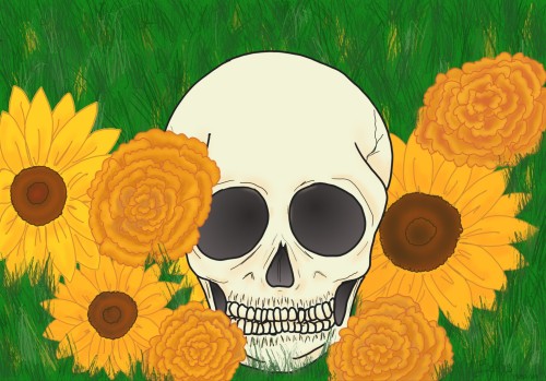Sigo Aprendiendo A Dibujar