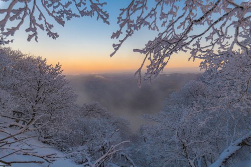 Frozen dawn in Higashi Yoshino (Nara prefecture), amazing colors captured by @v0_0v______mk