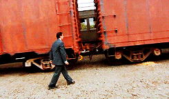 The circus arrived without warning