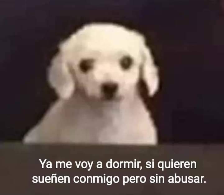 eliza-bethvc: