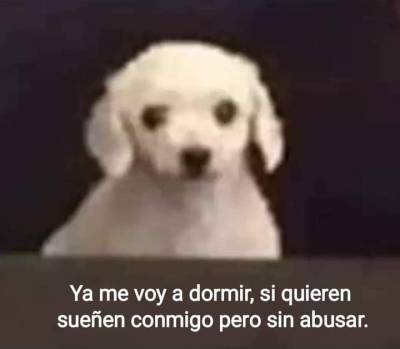 eliza-bethvc: