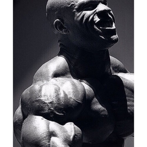 drwannabe:  Phil Heath