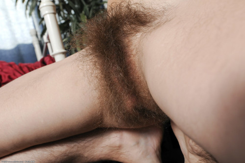 food-on-my-dog:  Holy cock  Nice hairy bush adult photos