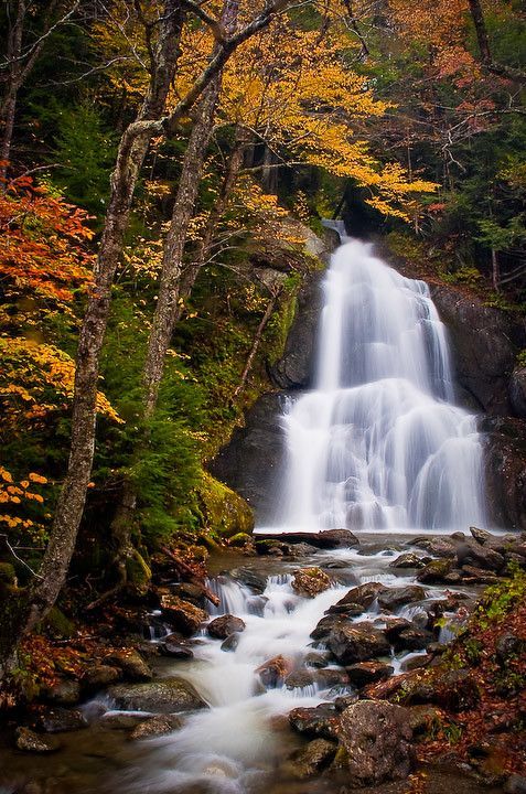 silvaris:  Moss Glen Falls by Bryan Swan