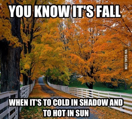 9gag:  Fall is coming