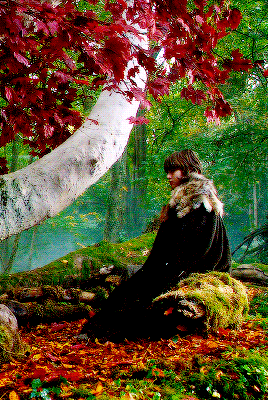 stark:He remembered their godswood; the tall sentinels armoured in their grey-green needles, the gre