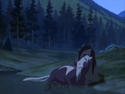 release-the-reins:  youngrecklessandhorsecrazy:  free-on-a-horse:  i always thought