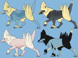 teatreetreecko:  Some more variations, this time courtesy of JumpyJoltik (uploaded here with permission)1. Common/Standard; 2. ‘Shiny’; 3. Albino; 4. Luxray hybrid; 5. Desert/Sunback; 6. Mountain/Snow-pelt; 7. ‘Peter Pan’/Electrike morph; 8.