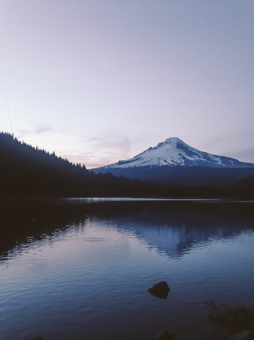 leaberphotos: You can meet me in the pale moonlightTrillium Lake, Oregoninstagram