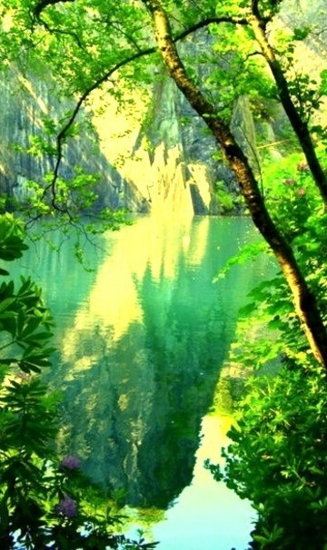 Summer Green, North Wales, England