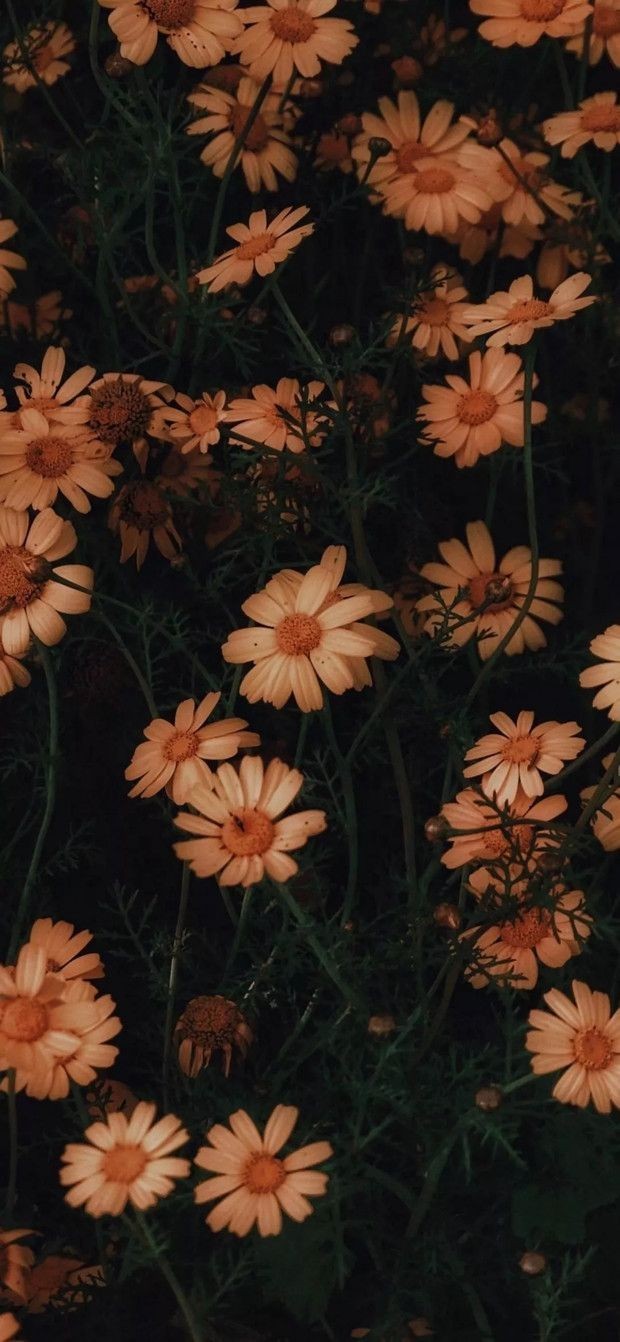 Love Quotes For Him On Tumblr Love Quotes For Him On Tumblr