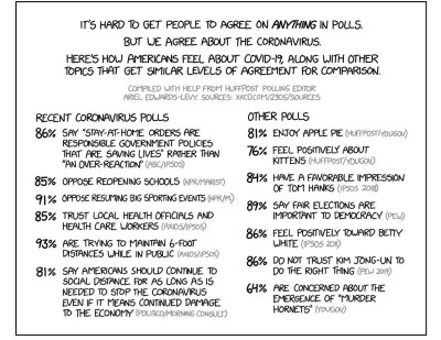 mpregwizard:serialreblogger:astrodidact:hey ok but actually (x)Y’all Americans aren’t brainwashed. You aren’t insane. The vast majority of you don’t agree with the rioters–or the president. It’s just that you have an extremely vocal 15%