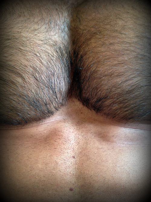hot4hairy2: scottsbluelife:♂ Series: Man…Neck &amp; Chest… H4H | #hot4hairy | hot4