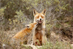 earthlynation:  World Smile Day. Photo by Roeselin Raimond